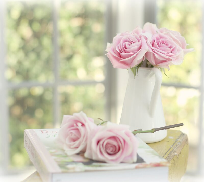 Pink Roses in Vase — Serene, Morning