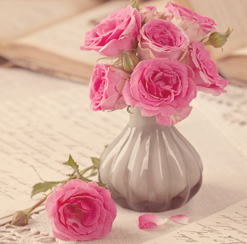 Pink Roses in Vase — Serene, Photograph, Book, Paper