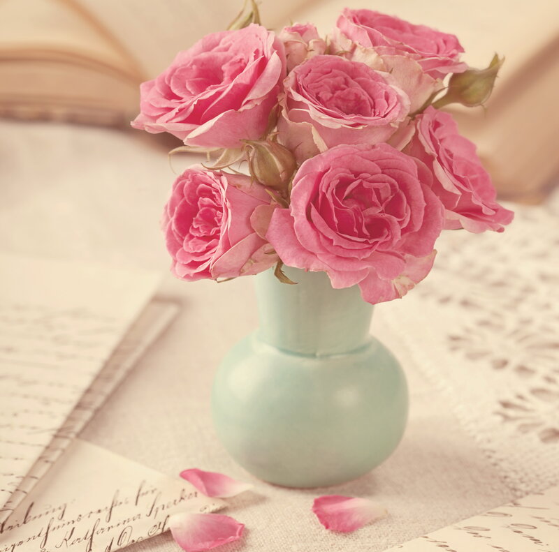 Pink Roses in Vase — Serene, Photograph, Book, Petals