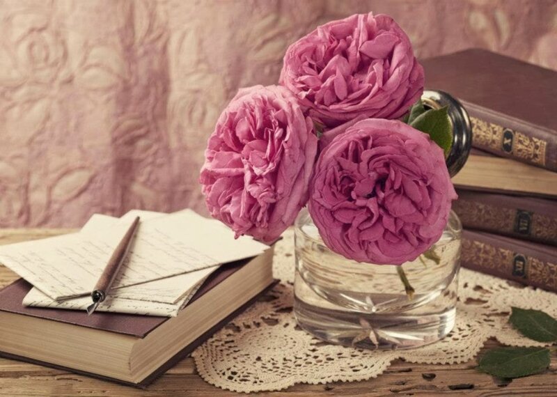 Pink Roses in Vase — Serene, Photograph, Books, Pen