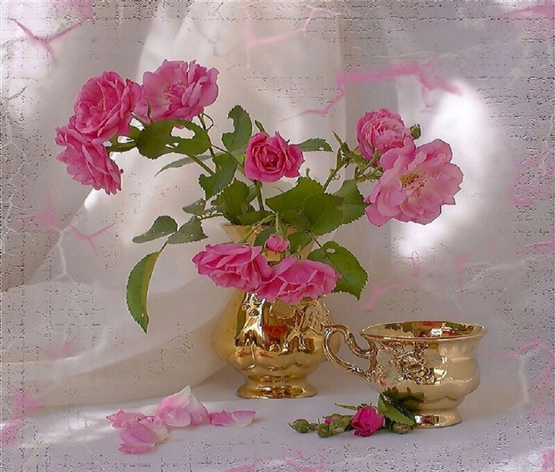 Pink Roses in Vase — Serene, Photograph, Cup