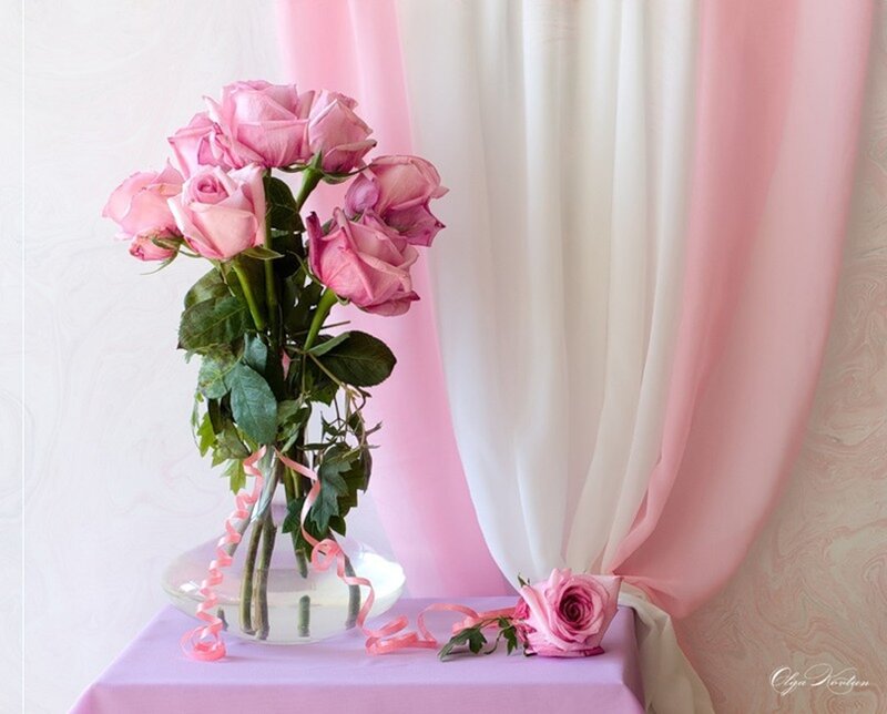 Pink Roses in Vase — Serene, Photograph, Curtain