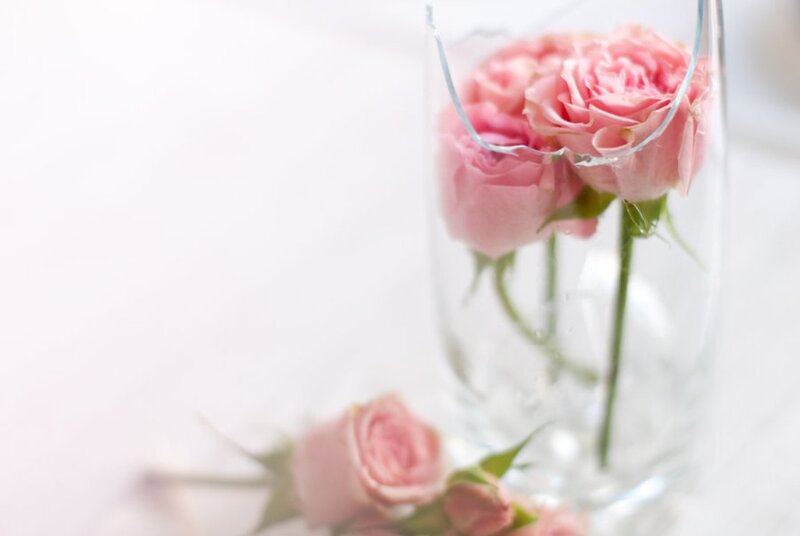 Pink Roses in Vase — Serene, Photograph, Flowers, Stem