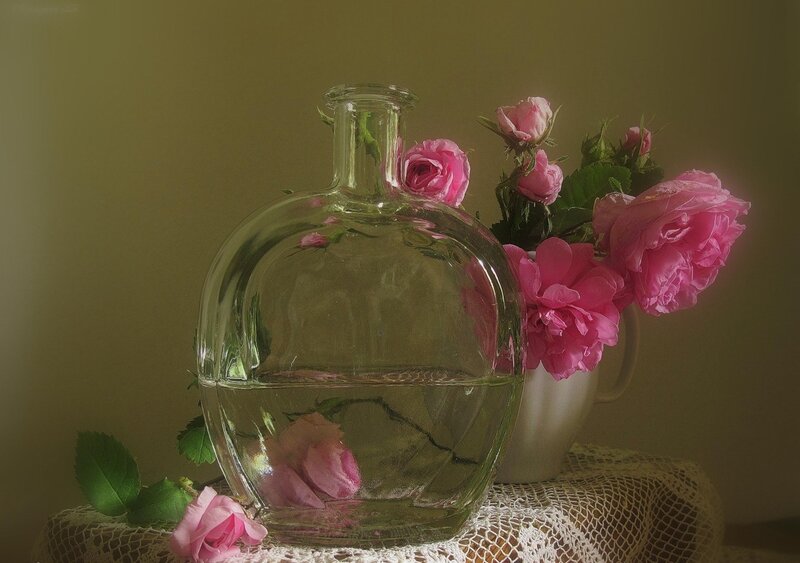 Pink Roses in Vase — Serene, Photograph, Glass Bottle