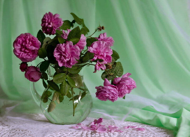 Pink Roses in Vase — Serene, Photograph, Green Curtain