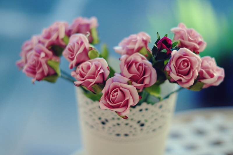 Pink Roses in Vase — Serene, Photograph, Green Leaves, Table