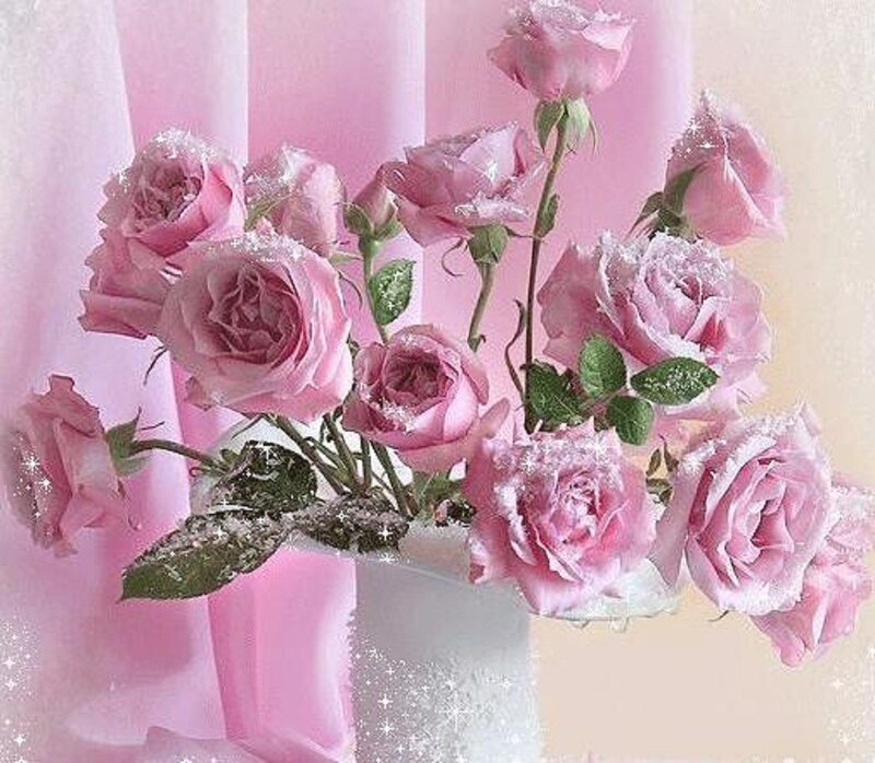 Pink Roses in Vase — Serene, Photograph, Green Leaves