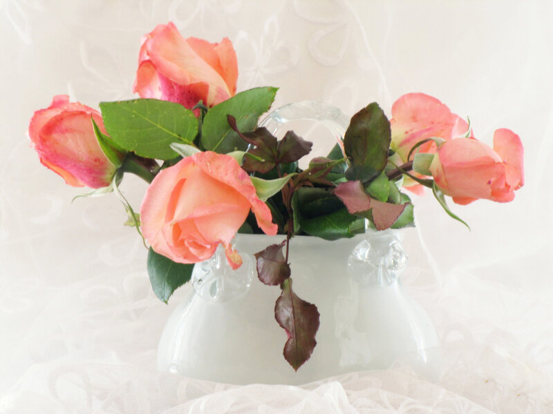 Pink Roses in Vase — Serene, Photograph, Leaves, Lace