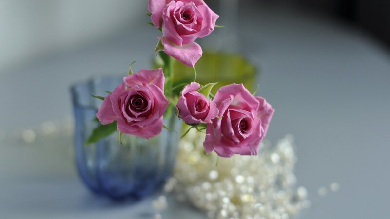 Pink Roses in Vase — Serene, Photograph, Pearls