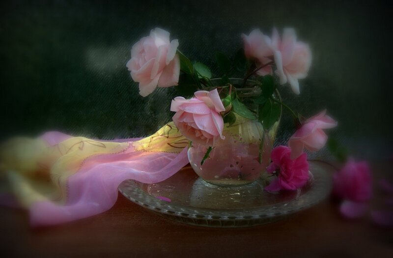 Pink Roses in Vase — Serene, Photograph, Scarf, Tray