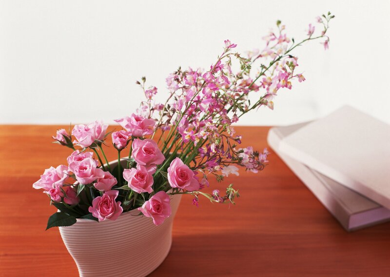 Pink Roses in Vase — Serene, Photograph, Table