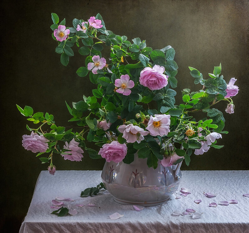 Pink Roses in Vase — Serene, Photograph, Tablecloth, Petals
