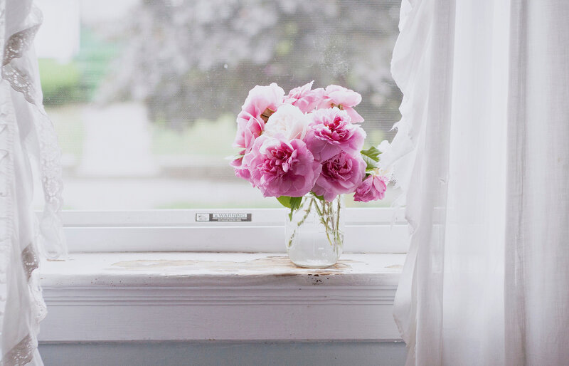 Pink Roses in Vase — Serene, Spring, Photograph, Window