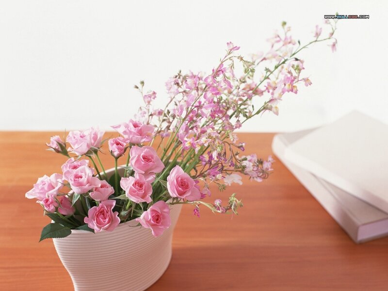 Pink Roses in Vase — Serene