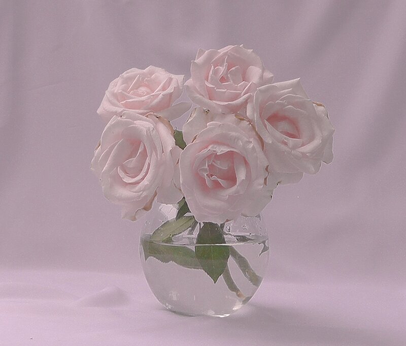 Pink Roses in Vase — White, Serene, Photograph, Flowers, Water