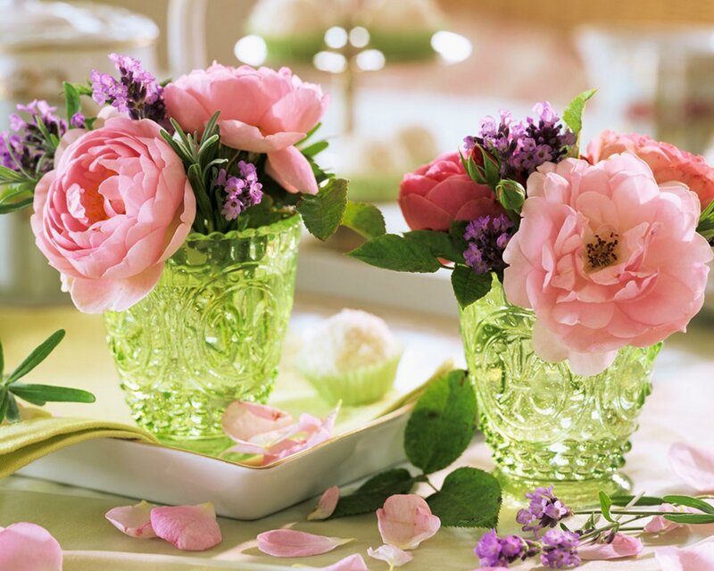 Pink Roses in Vases — Serene, Spring