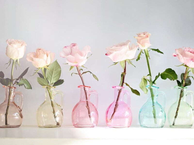 Pink Roses in Vases — Serene