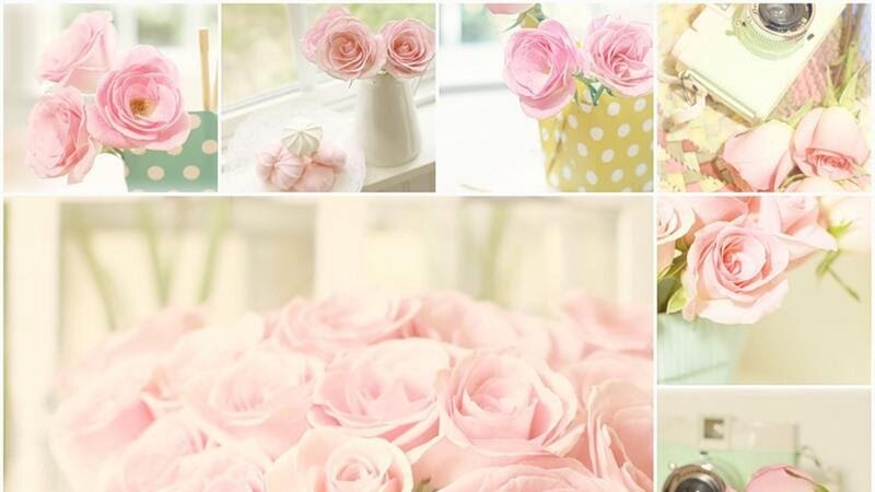 Pink Roses in Vases — Soft