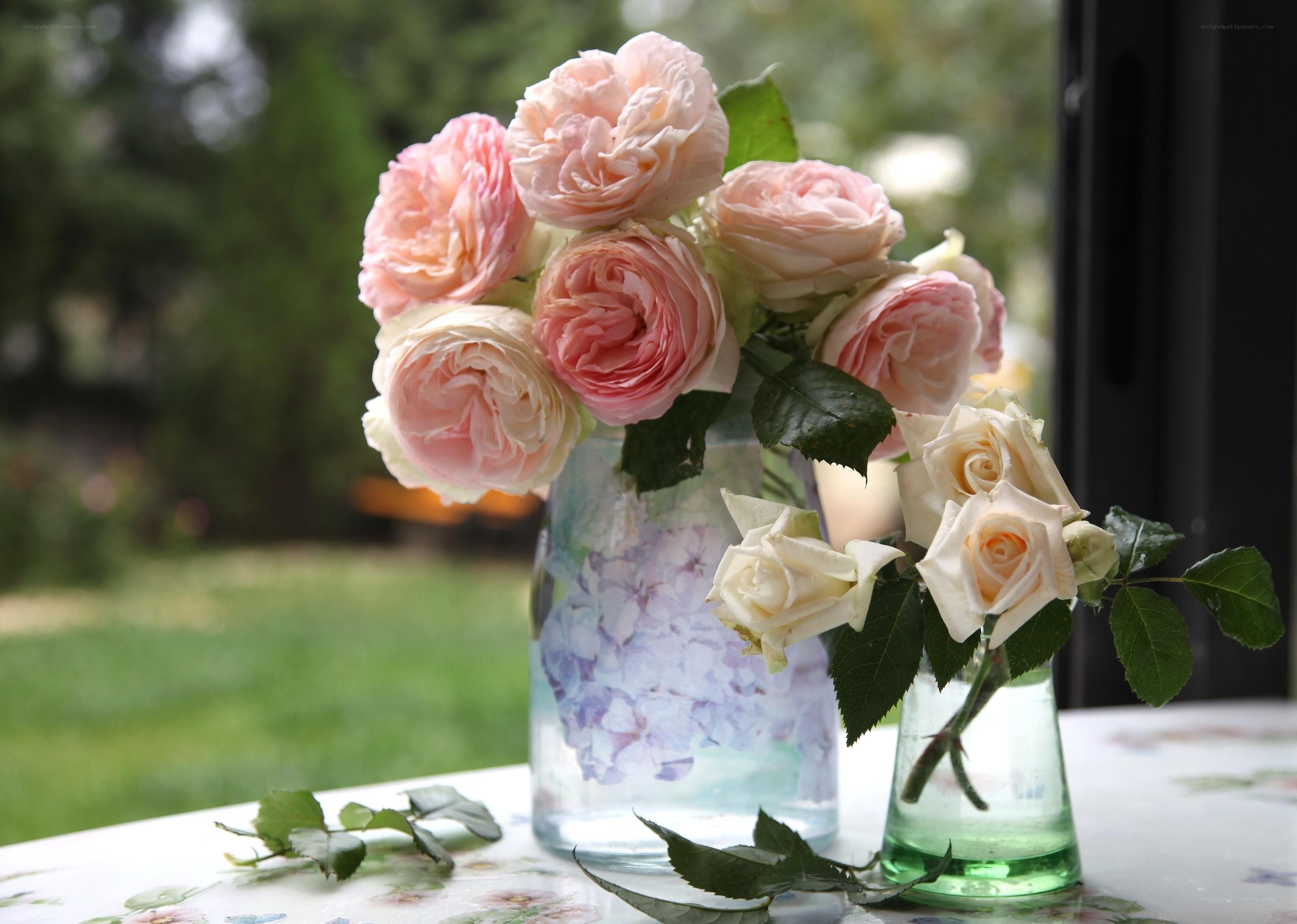 Pink roses in vases