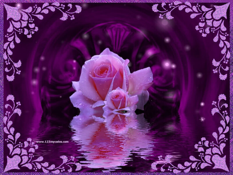 Pink Roses in Water — Purple