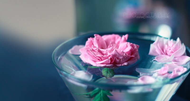 Pink Roses in Water — Serene, Photograph, Glass Bowl