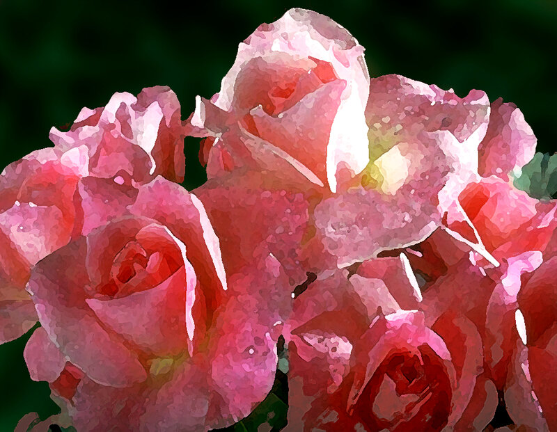 Pink roses in watercolor style