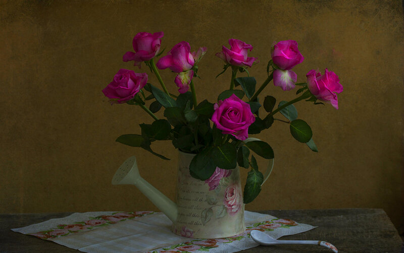 Pink Roses in Watering Can — Calm