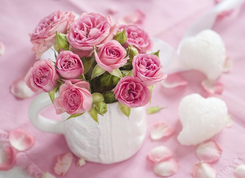 Pink Roses in White Cup