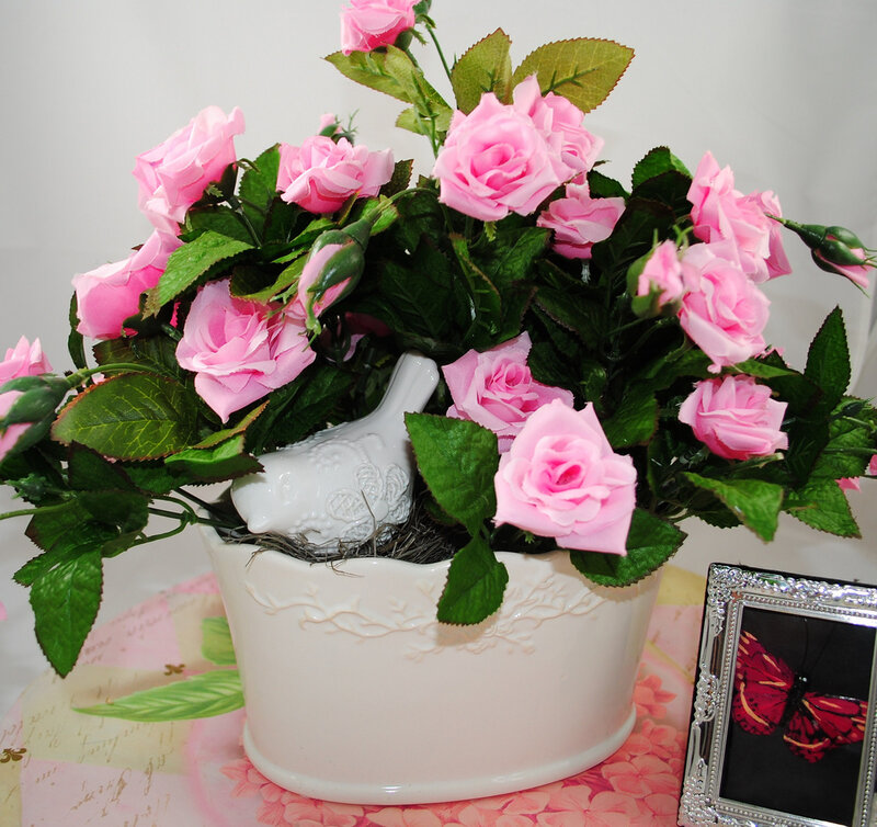 Pink Roses in White Pot — Calm