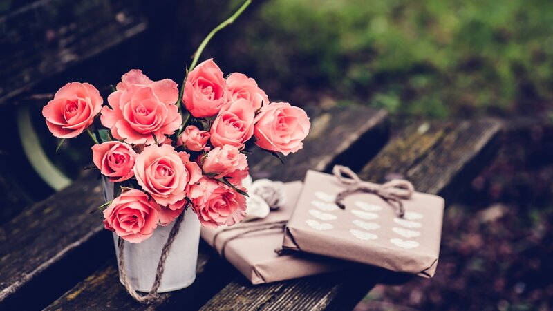 Pink Roses in White Vase — Serene