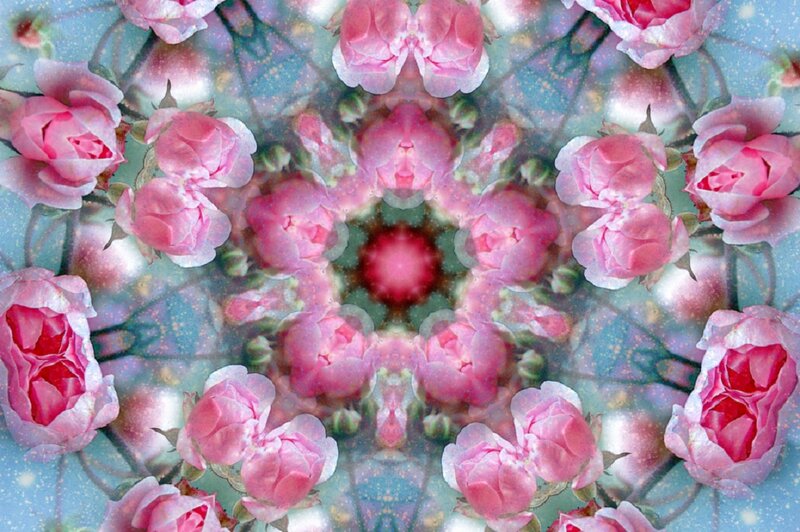 Pink Roses Mandala