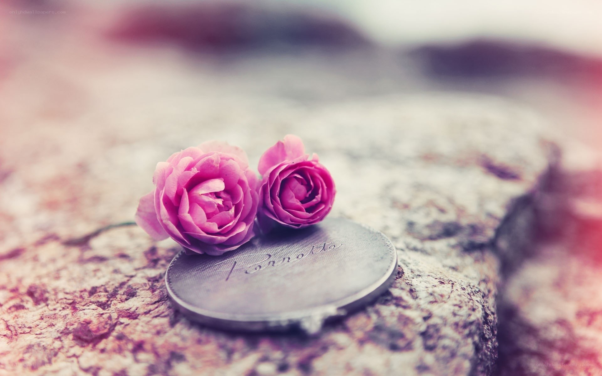 Pink roses on a coin