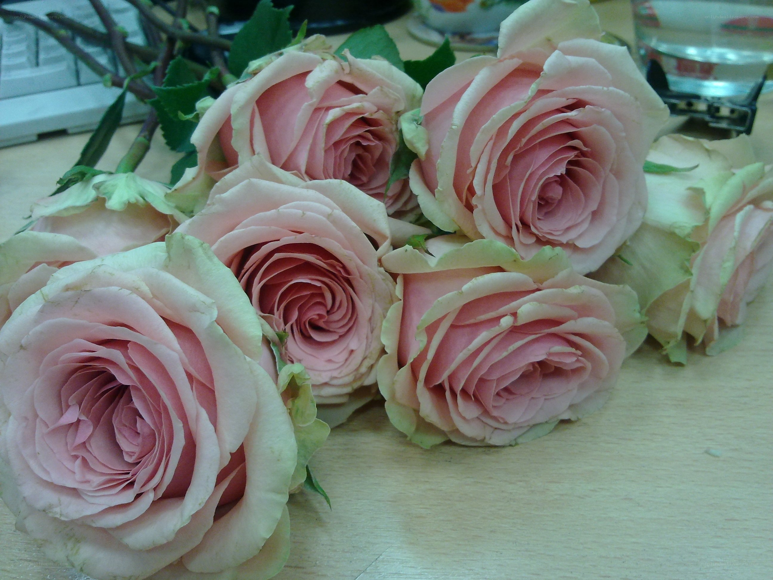 Pink roses on a desk