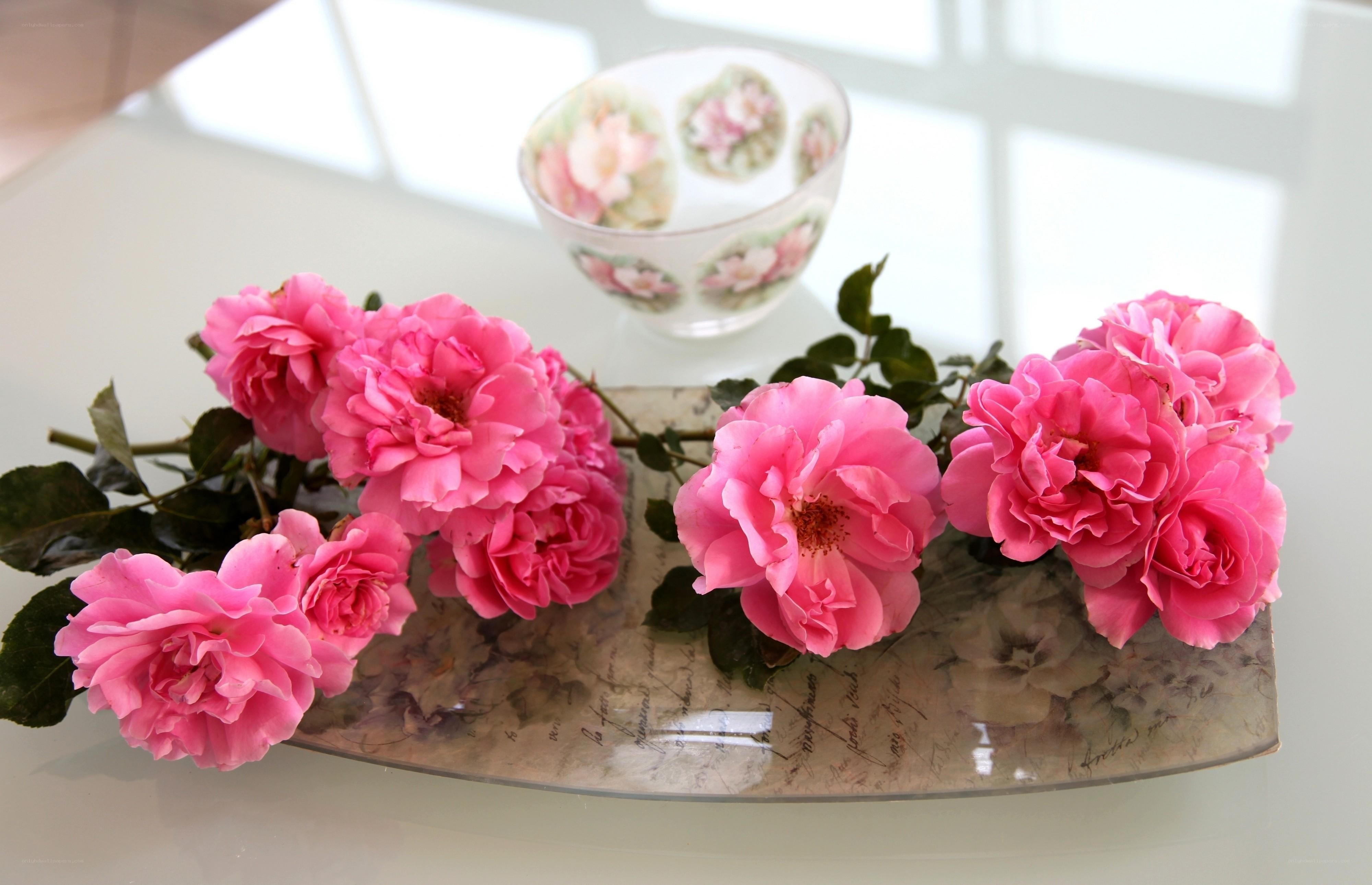 Pink roses on a tray