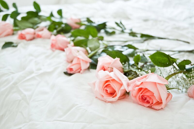 Pink Roses on Bed