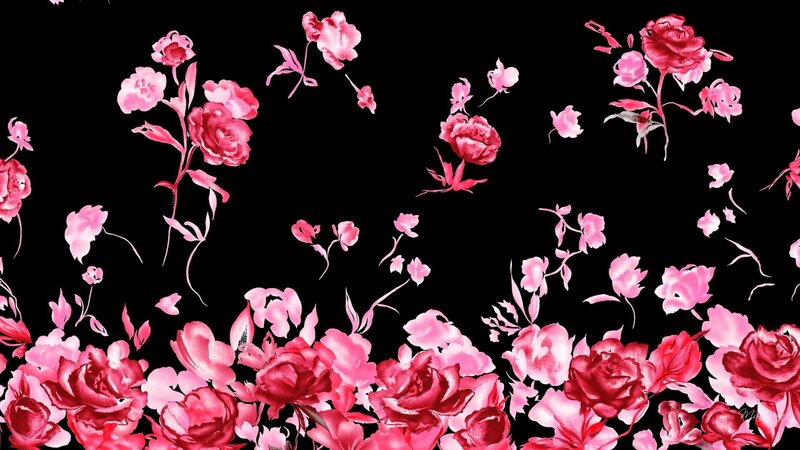 Pink Roses on Black — Dramatic, Illustration