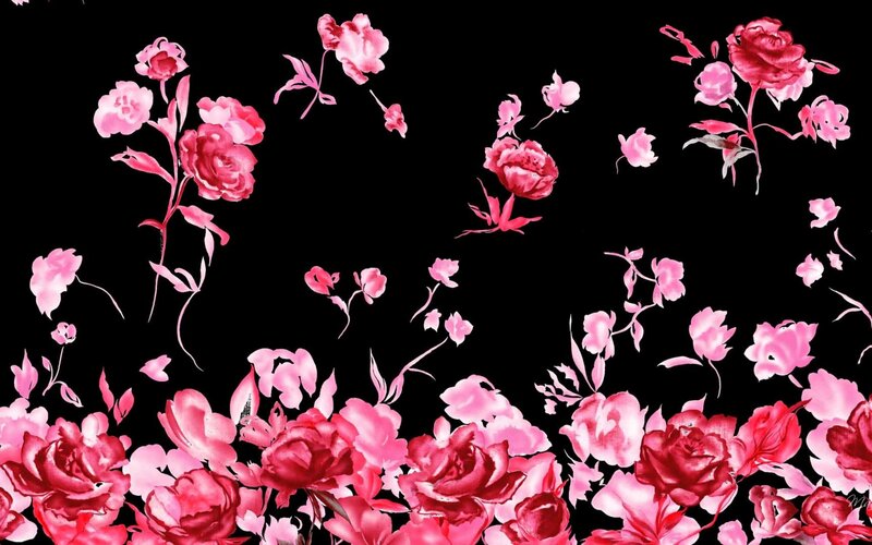 Pink Roses on Black — Dramatic
