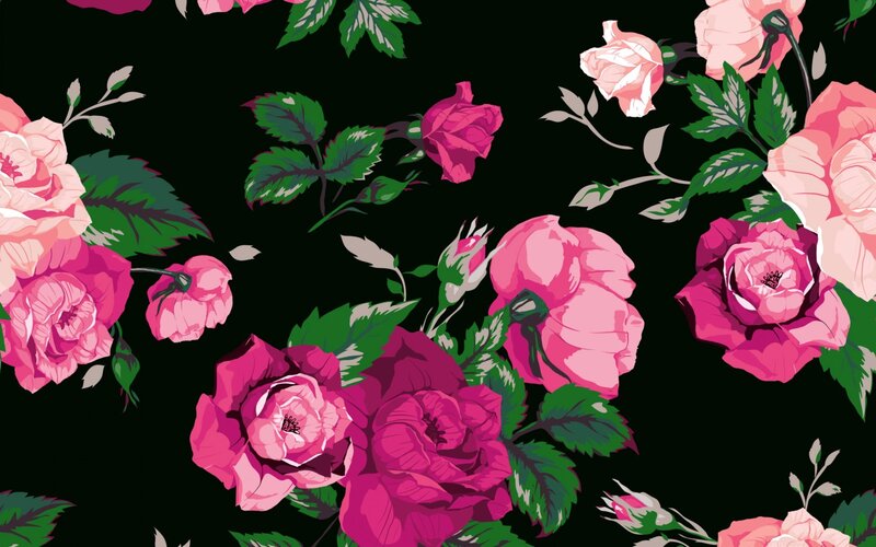 Pink Roses on Black — Elegant