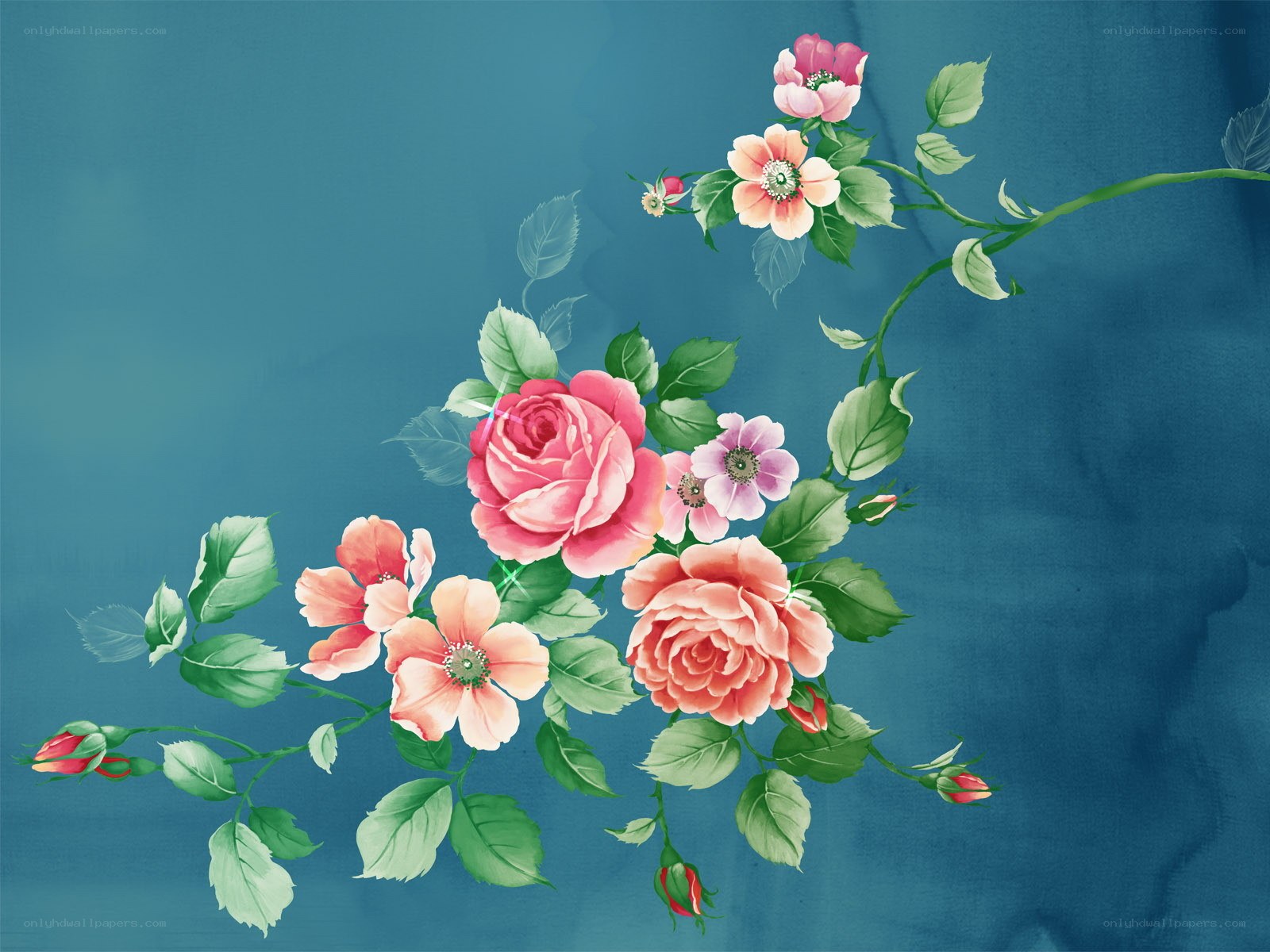 pink roses on blue background