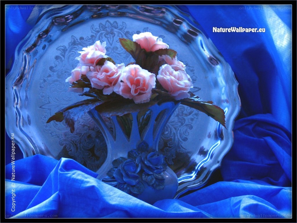 Pink roses on blue fabric