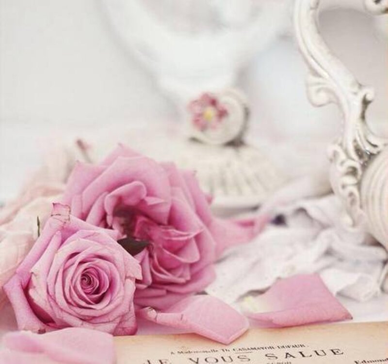 Pink Roses on Book — Serene, Photograph, Mirror