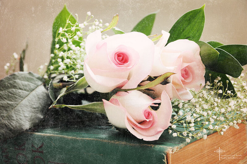 Pink Roses on Book