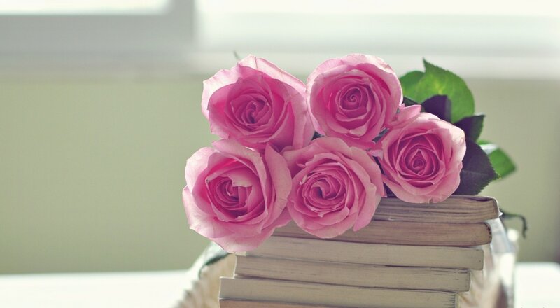 Pink Roses on Books — Serene, Morning