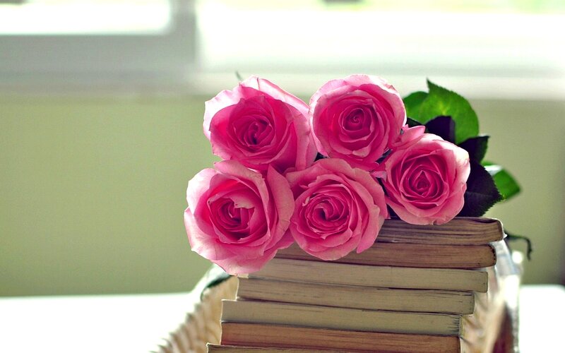 Pink Roses on Books — Serene