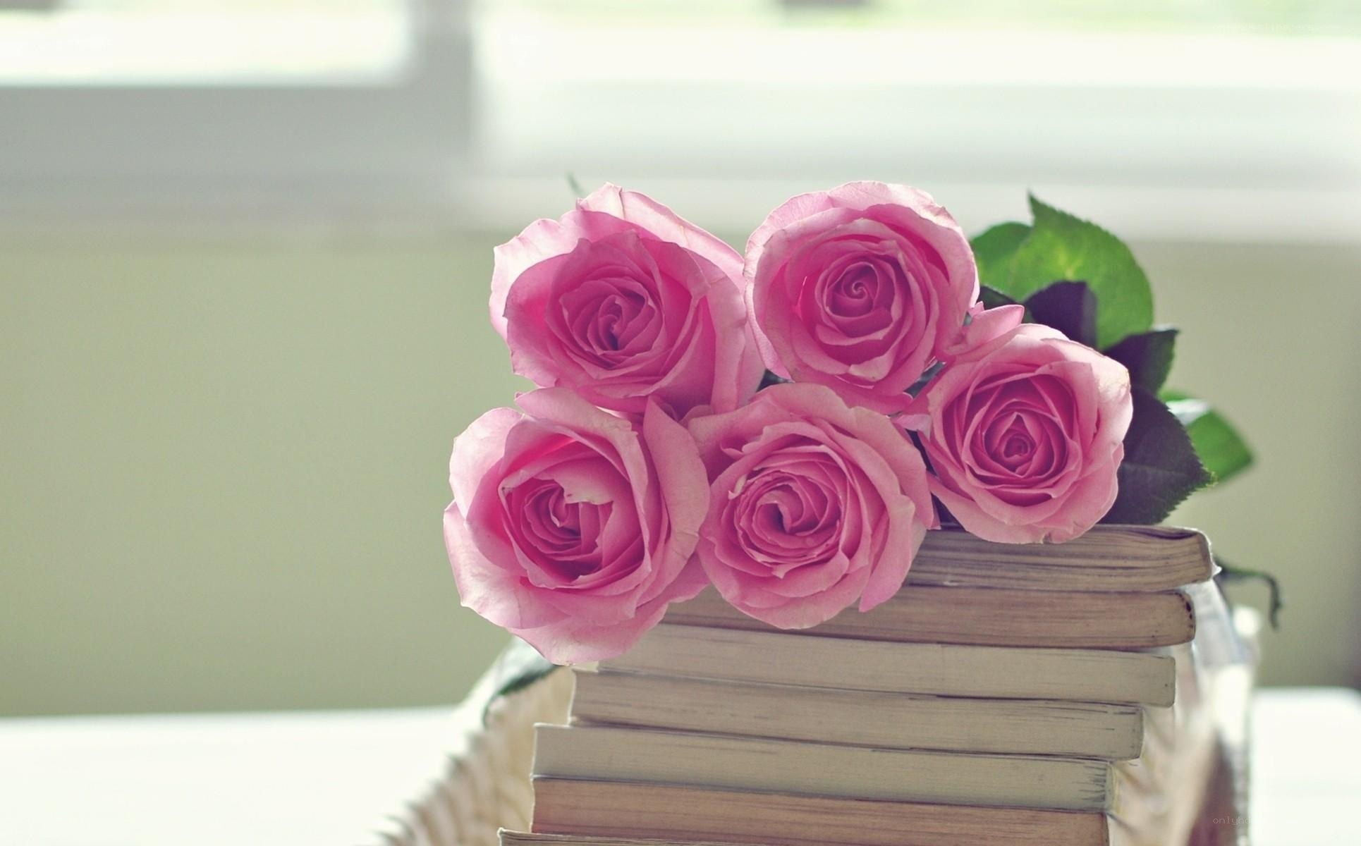 Pink roses on books