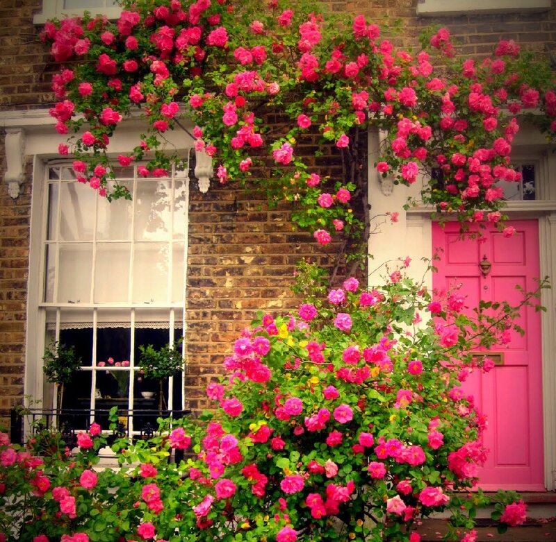 Pink Roses on Brick House