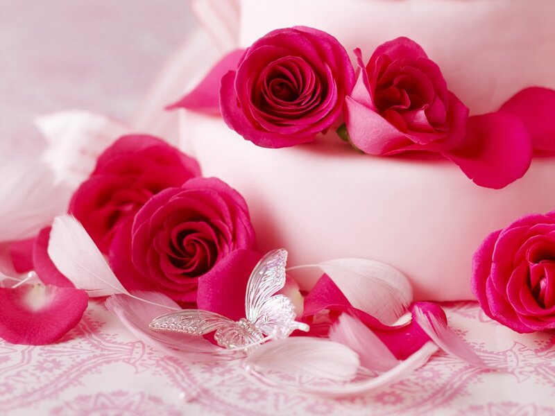 Pink Roses on Cake — Romantic