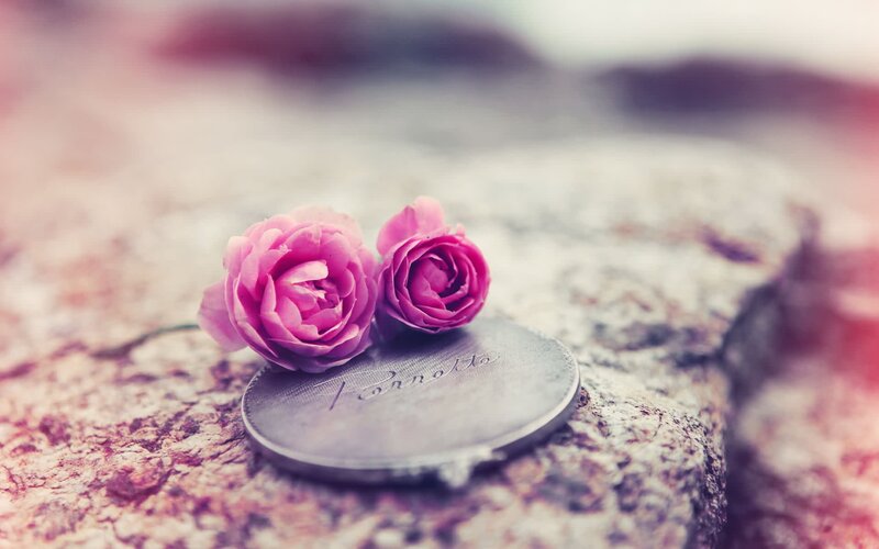 Pink Roses on Coin