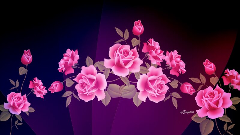 Pink Roses on Dark Background — Purple