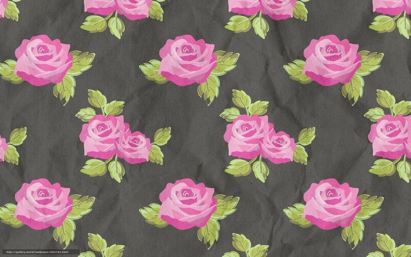 Pink Roses on Dark Fabric — Calm